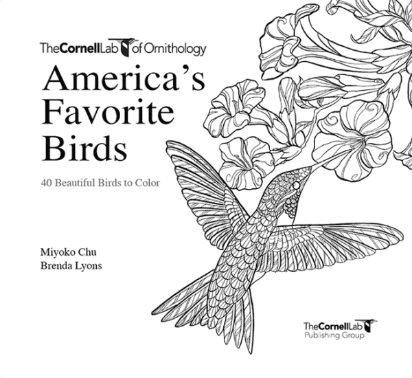 America's Favorite Birds: 40 Birds to Color - Image 2