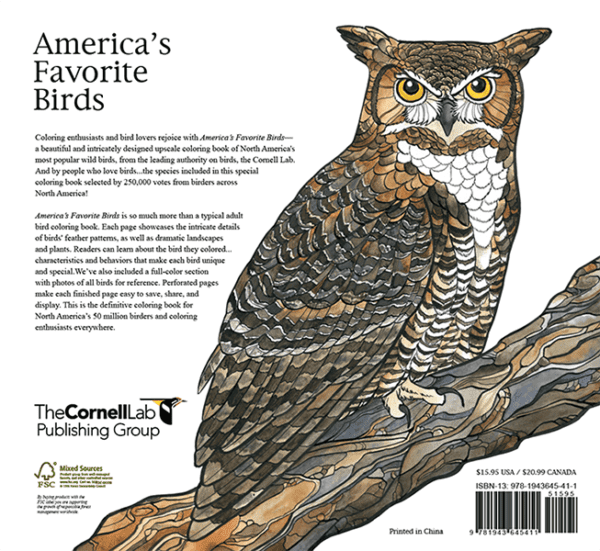 America's Favorite Birds: 40 Birds to Color - Image 7