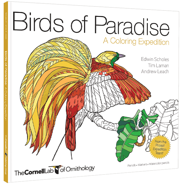 Birds of Paradise: A Coloring Expedition