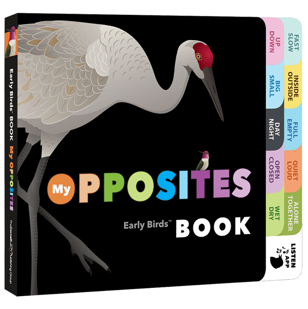 My Opposites Book (Early Birds™ Series)