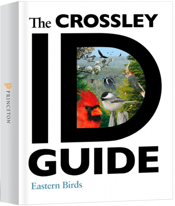 The Crossley ID Guide: Eastern Birds