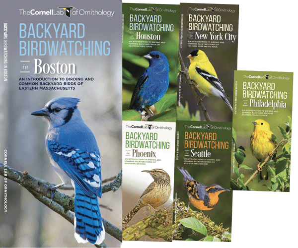 Waterford Press ALL ABOUT BIRDS Pocket Guides (City Birds ID Series)